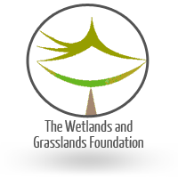The Wetlands and Grasslands Foundation